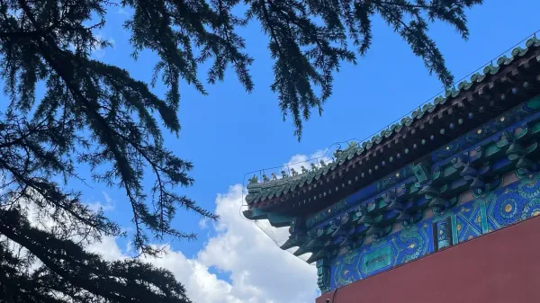 img of 送你一匹馬